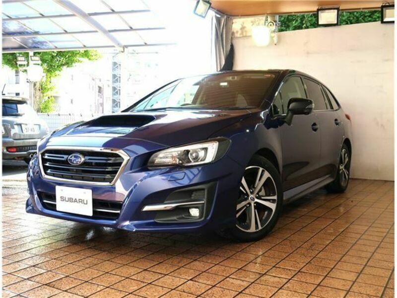 LEVORG-8