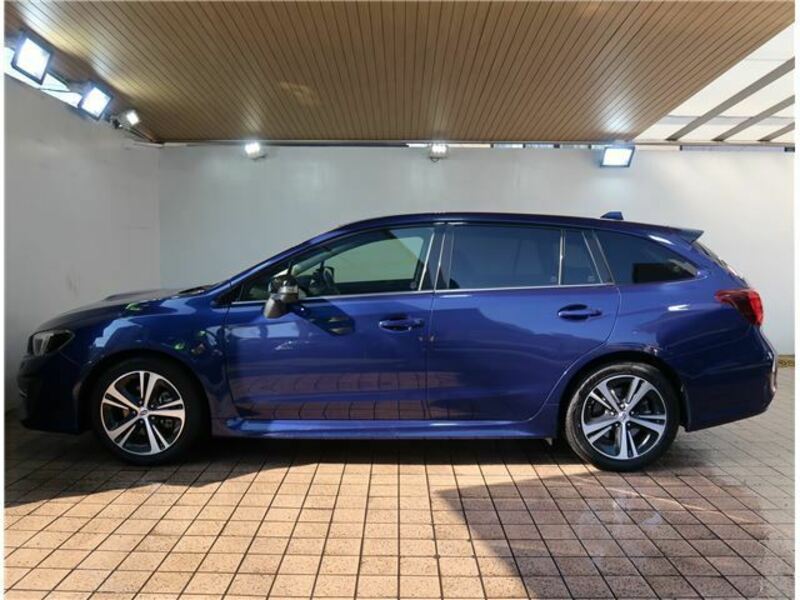 LEVORG-15