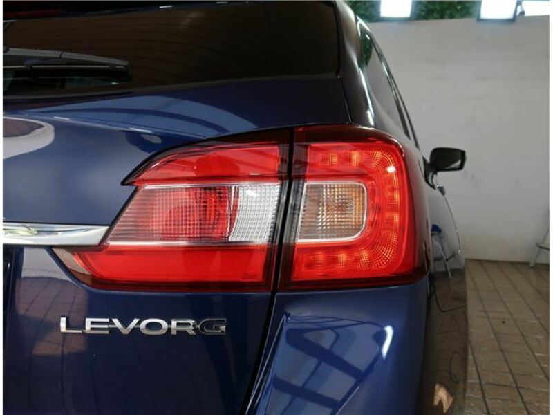 LEVORG-19