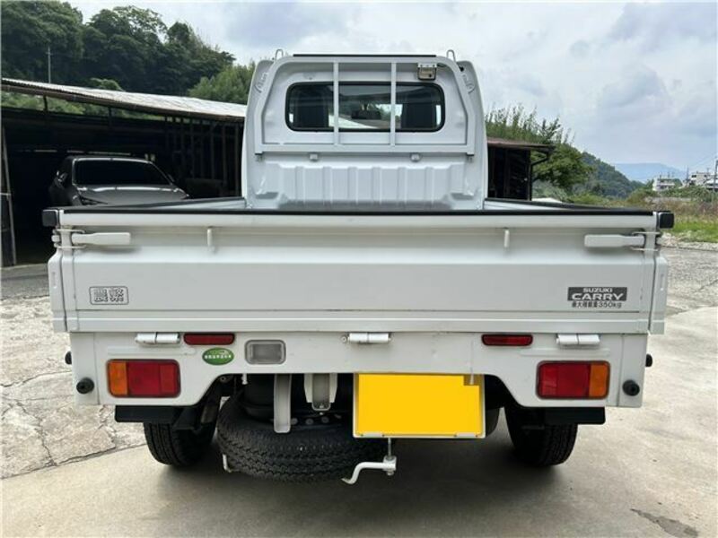 CARRY TRUCK-6