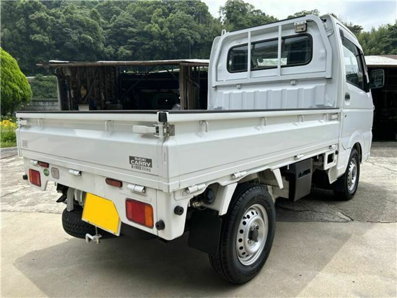 CARRY TRUCK-7