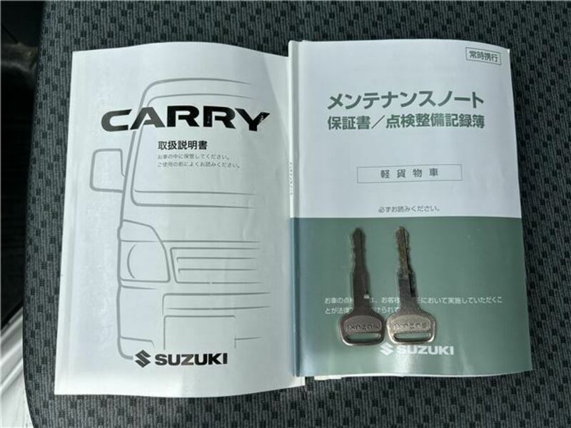 CARRY TRUCK-23