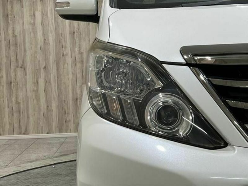 ALPHARD-8