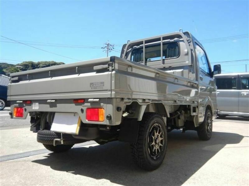 CARRY TRUCK-13