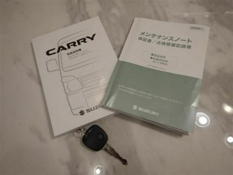CARRY TRUCK-21