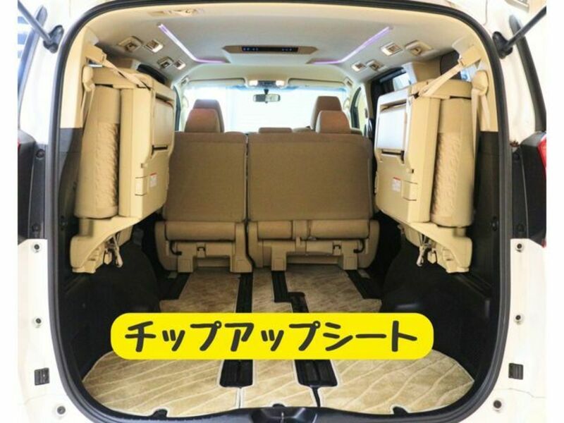 ALPHARD-17