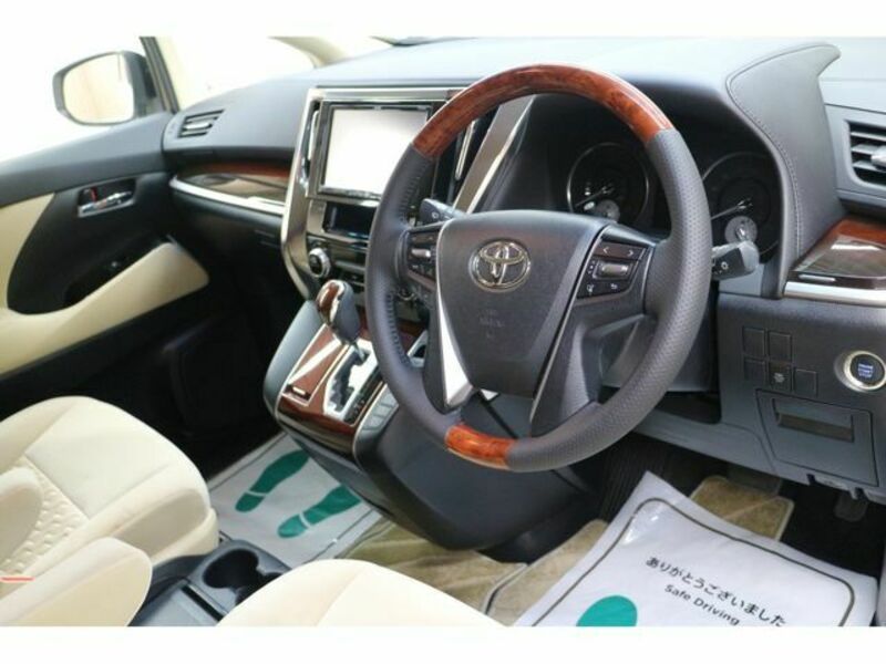 ALPHARD-19