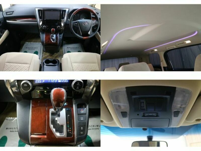 ALPHARD-28