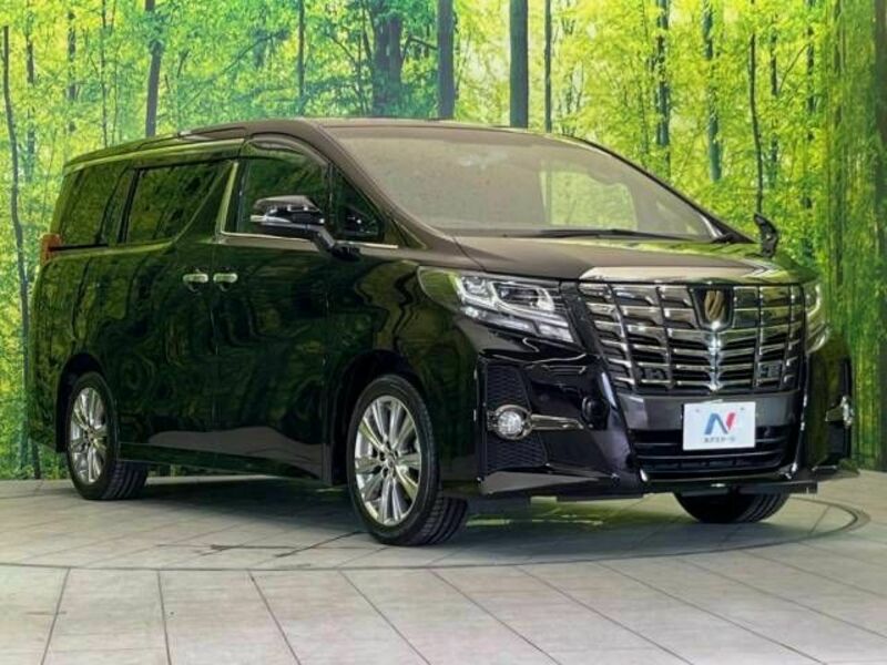 ALPHARD-17