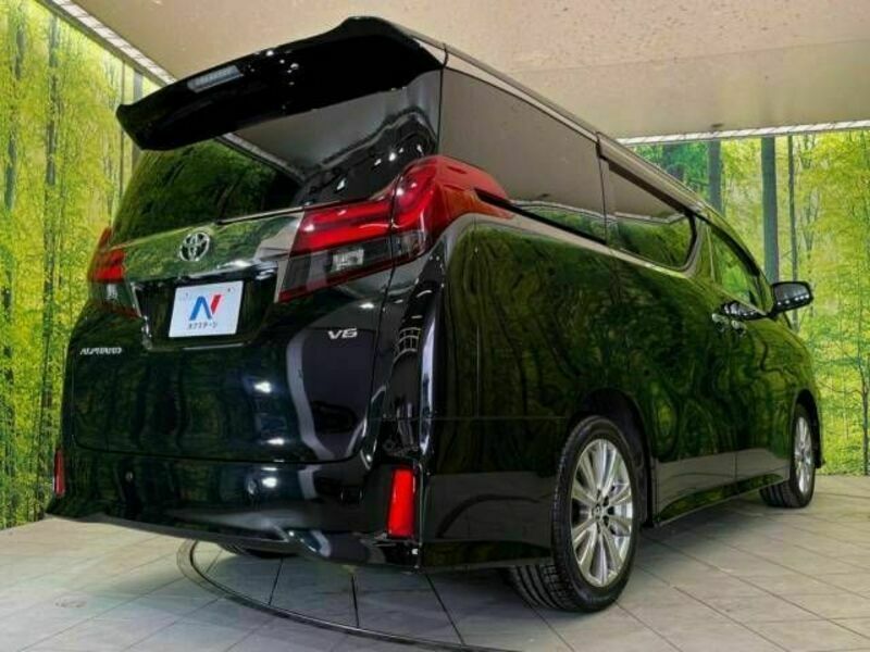 ALPHARD-18