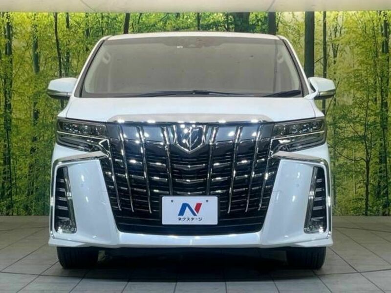 ALPHARD-14