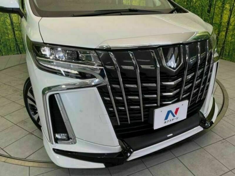 ALPHARD-13