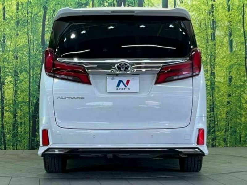 ALPHARD-16