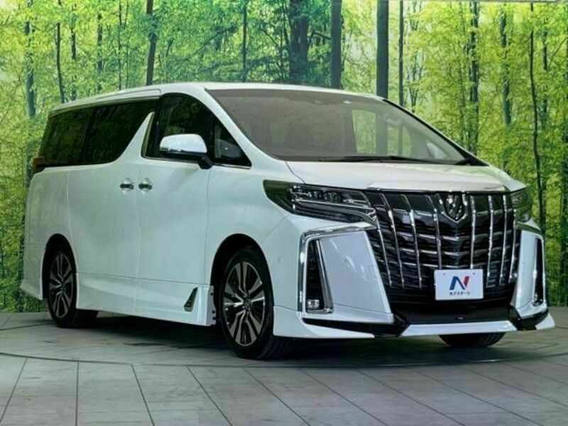 ALPHARD-17