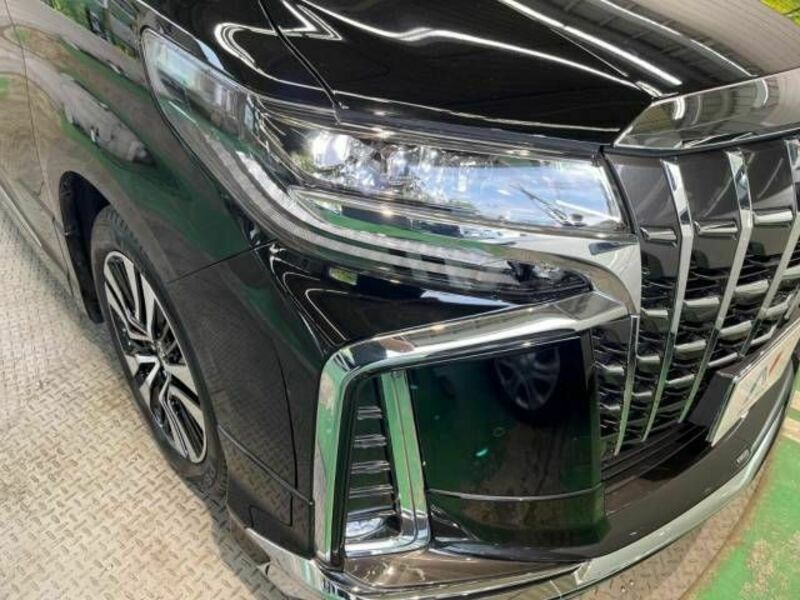 ALPHARD-12