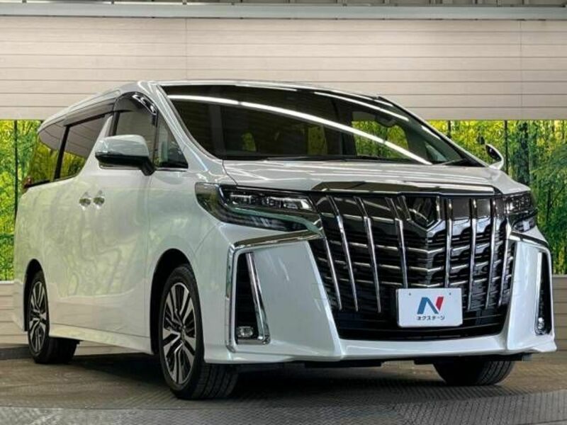 ALPHARD-17