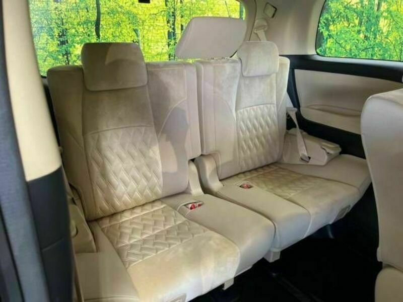 ALPHARD-10