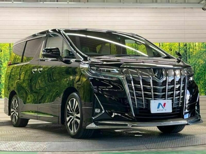 ALPHARD-17