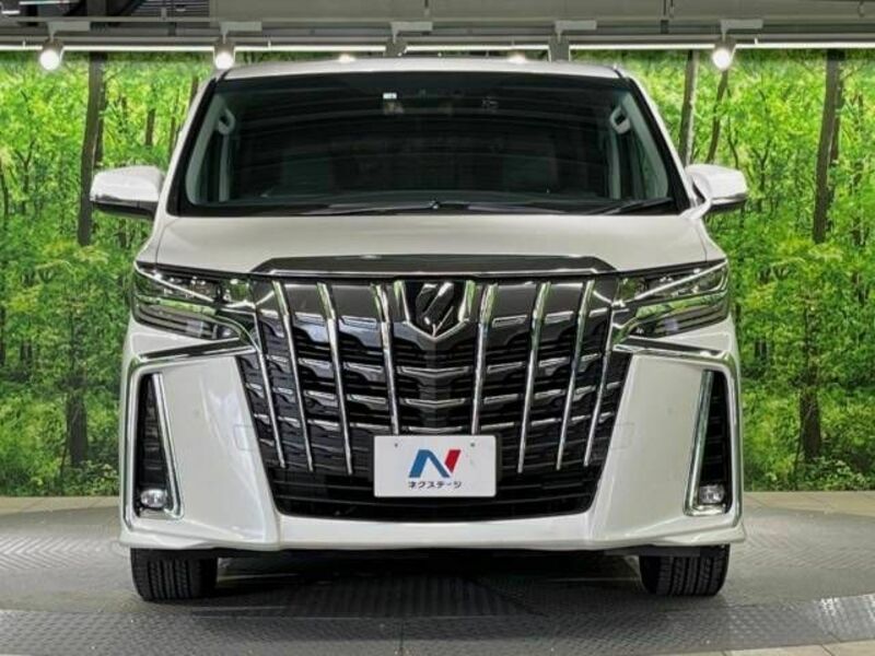 ALPHARD-15