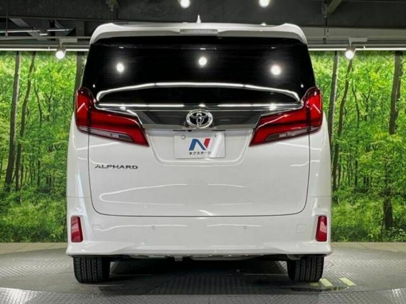 ALPHARD-16