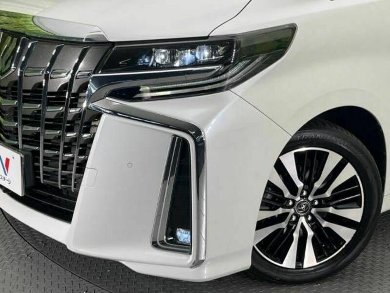 ALPHARD-13