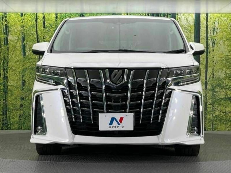 ALPHARD-15