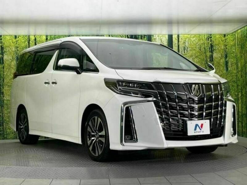 ALPHARD-17