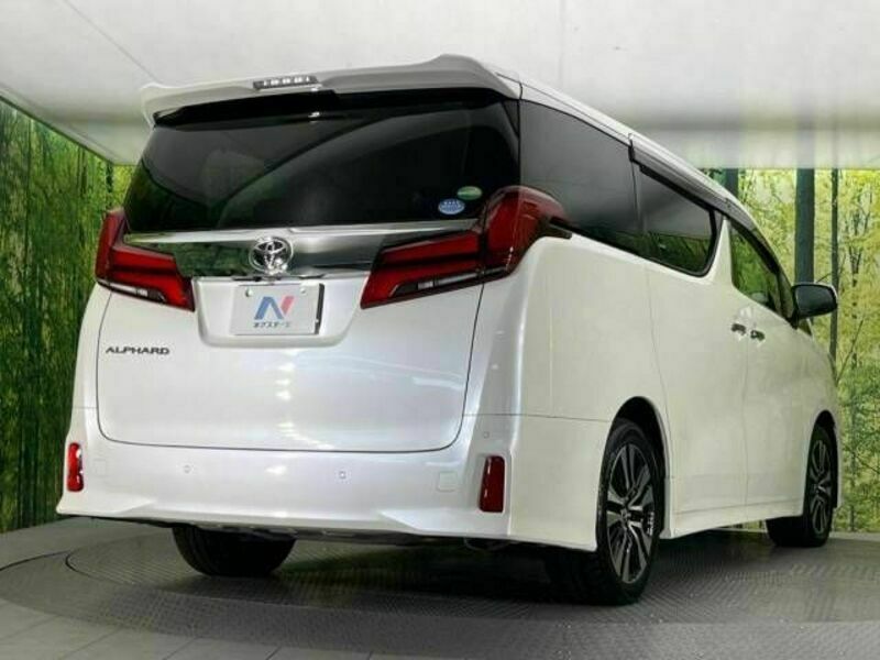 ALPHARD-18