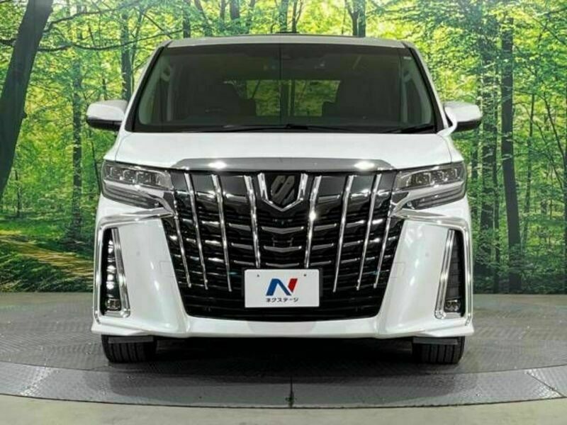 ALPHARD-15