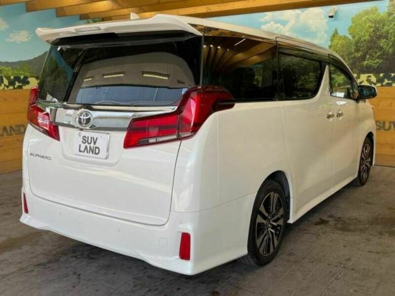 ALPHARD-19