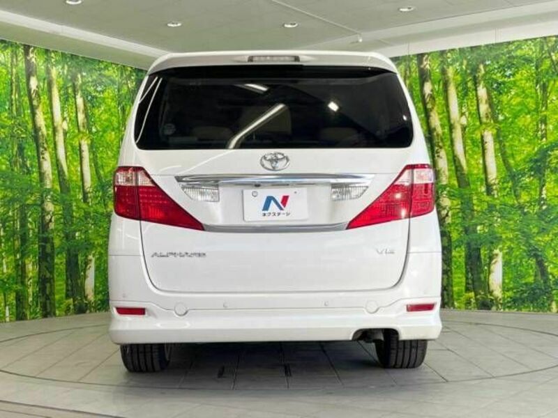 ALPHARD-16