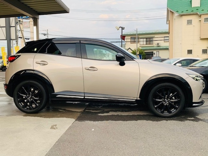 CX-3-3