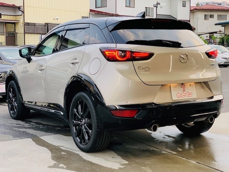 CX-3-6