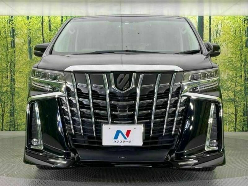 ALPHARD-15