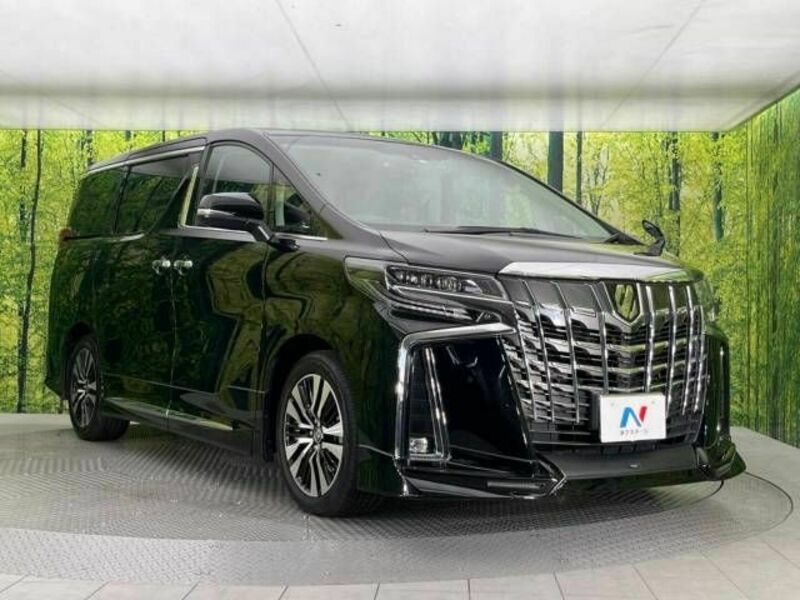 ALPHARD-17