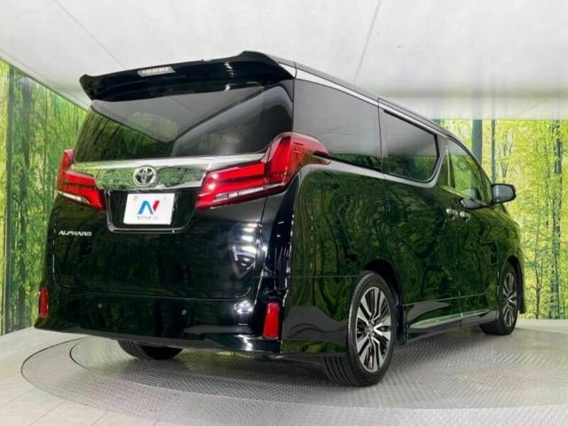 ALPHARD-18