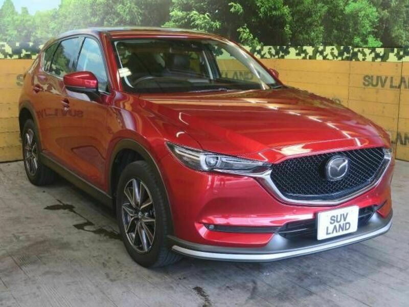 CX-5-18