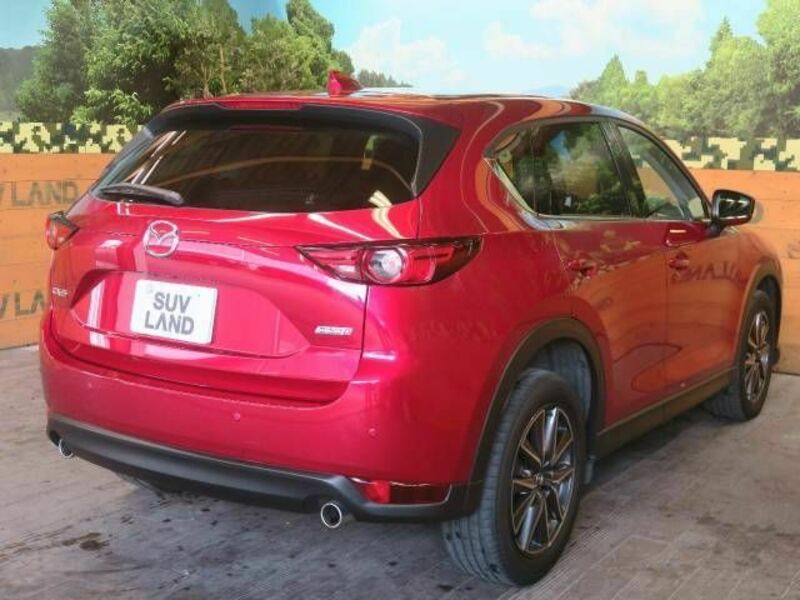 CX-5-19