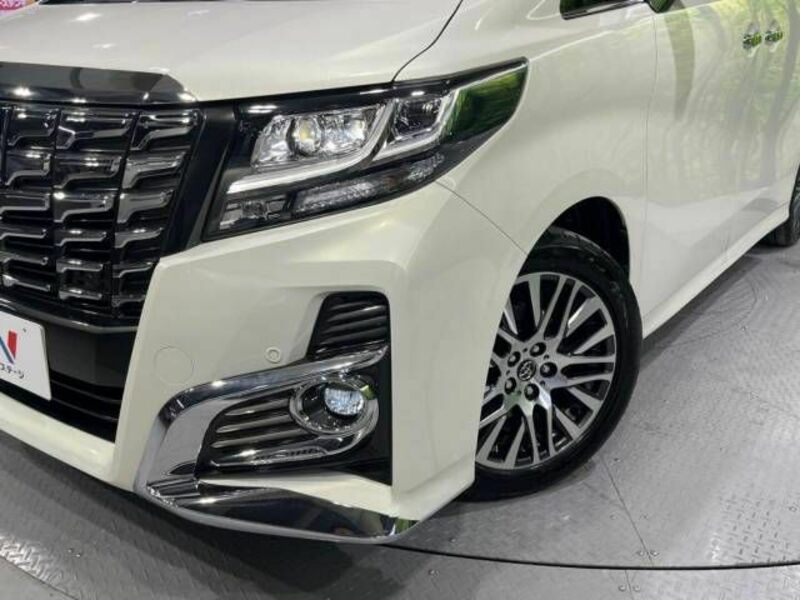 ALPHARD-13