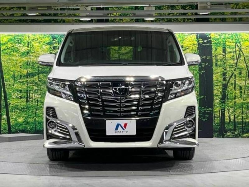 ALPHARD-15