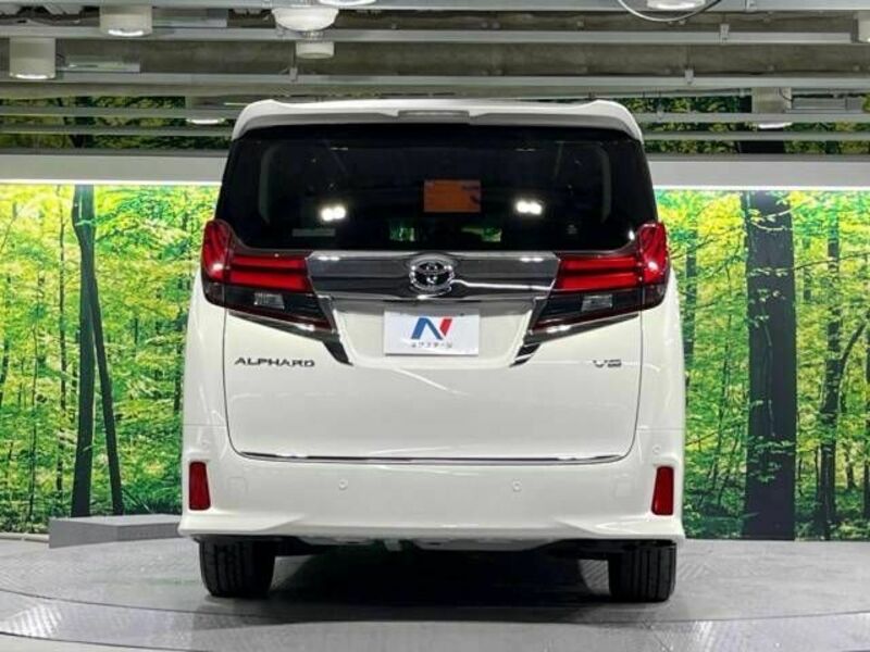 ALPHARD-16