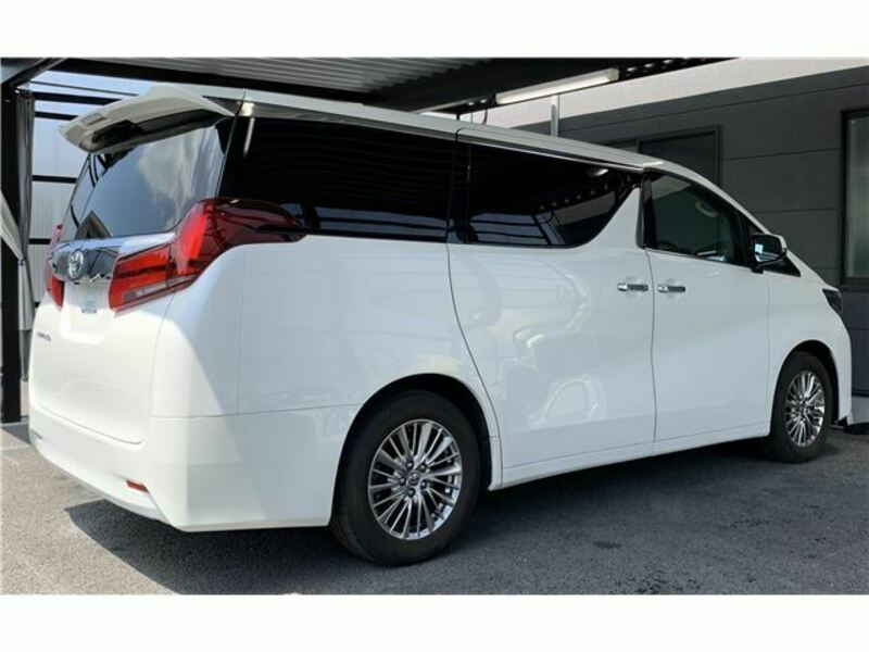 ALPHARD-4