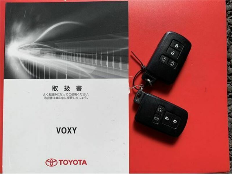 VOXY-11