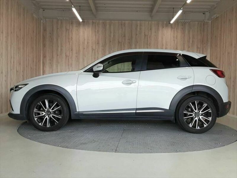 CX-3-18