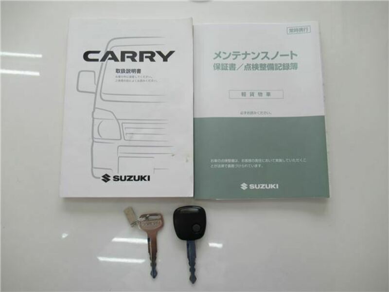 CARRY TRUCK-31