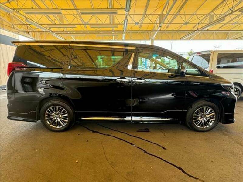 ALPHARD-15