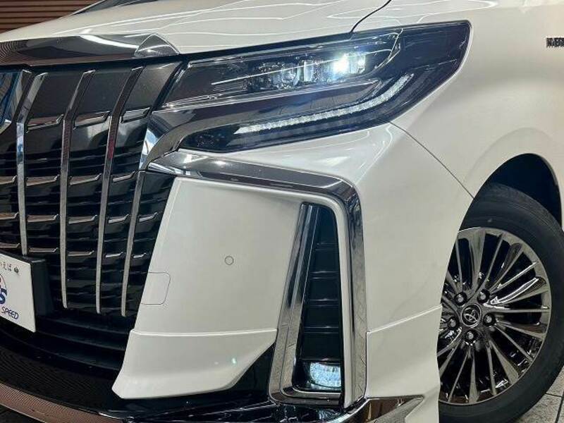 ALPHARD-19