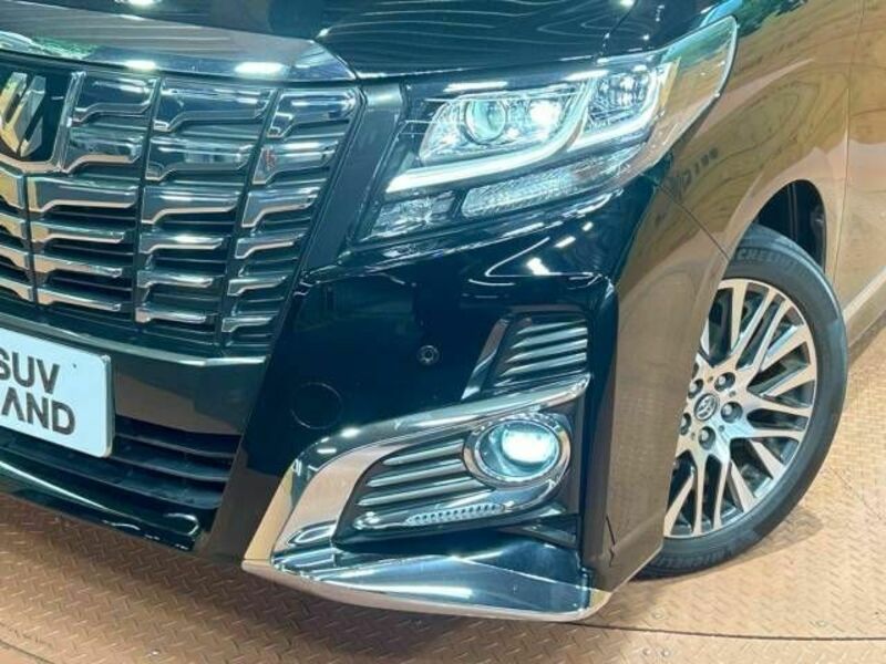 ALPHARD-13