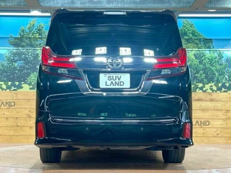 ALPHARD-16