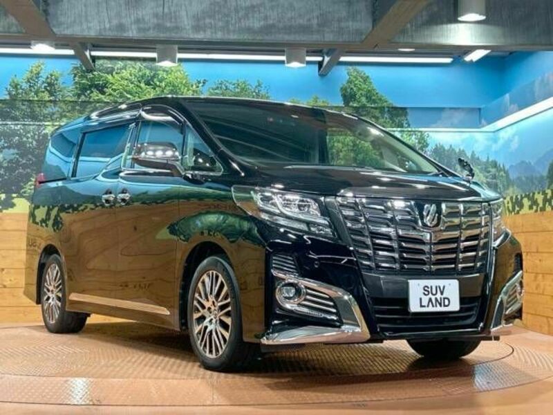 ALPHARD-17